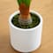 3.5ft. Arrowhead Philodendron in White Decorative Planter